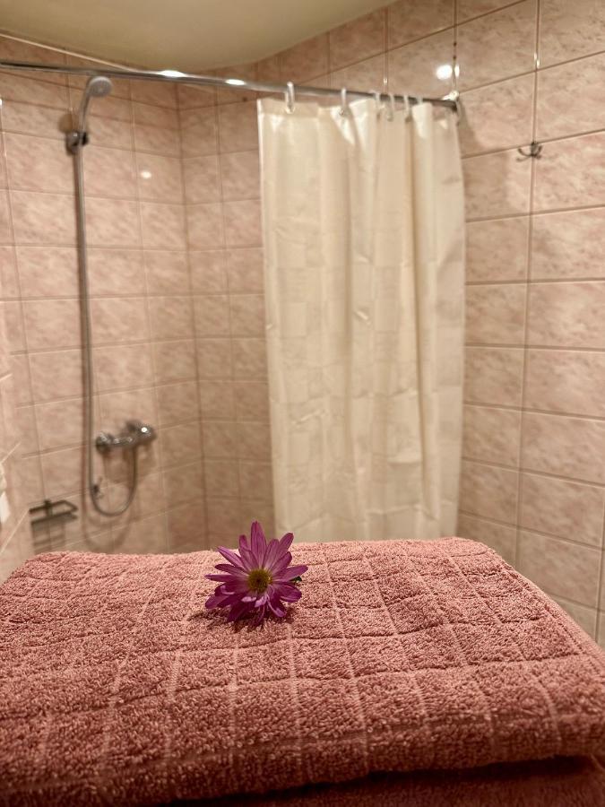 טאלין Center Of City Apartments, Bus Station 1Min, Airport 5 Min מראה חיצוני תמונה